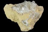 Fluorescent Calcite Geode In Sandstone - Morocco #89683-1